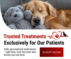 Pawsitive petcare 300x250 px