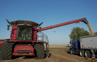 Photo of Nematodes, too small to see without a microscope, cause $160 billion in damages yearly