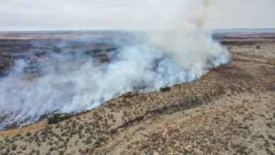 Photo of Texas firefighters battle flames stoked by strong winds as warnings are issued across the region