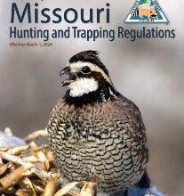 Photo of New MDC booklets on hunting, trapping, and fishing available this month