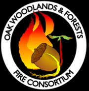 Photo of Fire in the Ozarks: tree-ring research reveals widespread fires in region’s past