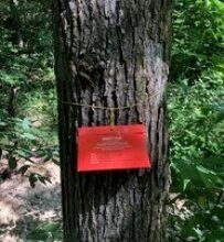 Photo of Department of Agriculture to set pest traps in May