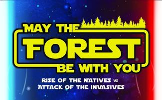 Photo of Earth Day/Arbor Day event this Saturday, April 27th at Wildcat Park