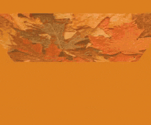 Harris fall 2025 300x250 px