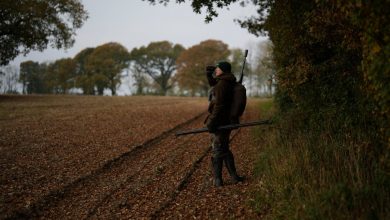 Photo of Missouri Deer Hunters Took Aim Over The Weekend