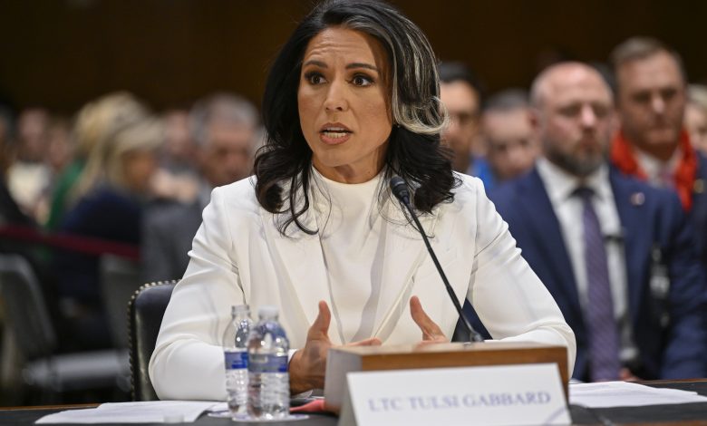 Tulsi Gabbard