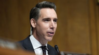 Photo of Hawley to introduce bill to give working Americans tariff rebate checks