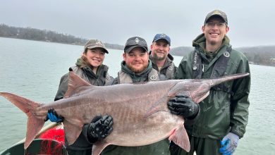 Photo of MDC reminds snaggers paddlefish season begins March 15