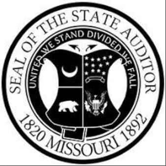 State auditor