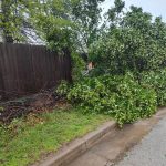 490492568 1523325185656883 3158692991865629983 n