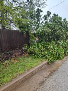 490492568 1523325185656883 3158692991865629983 n