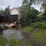 491917800 1523325162323552 2165553608784295827 n