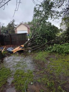 491917800 1523325162323552 2165553608784295827 n