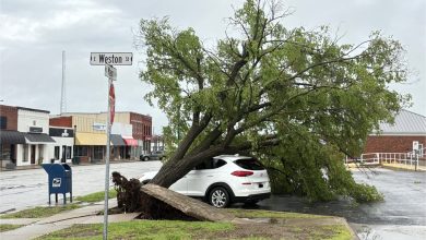 Photo of Storm causes damage as it rips through Carl Junction on Easter Sunday