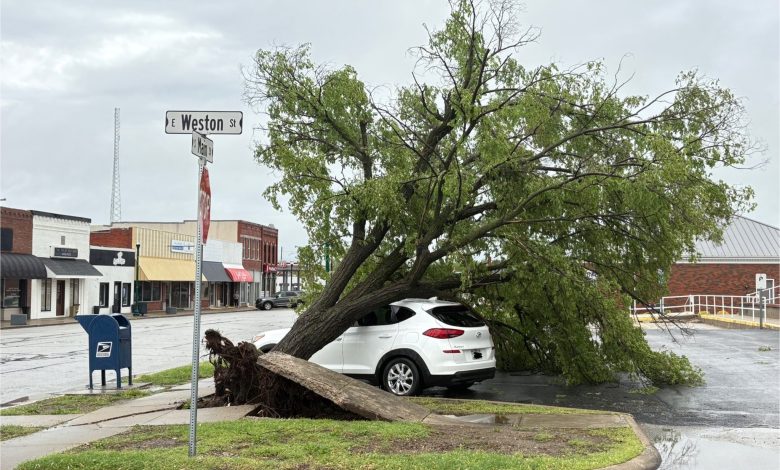 492172256 1523244388998296 3556084019077122221 n