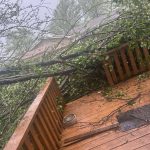 492207648 1523304228992312 1060043425053431428 n