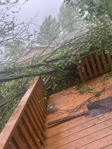 492207648 1523304228992312 1060043425053431428 n