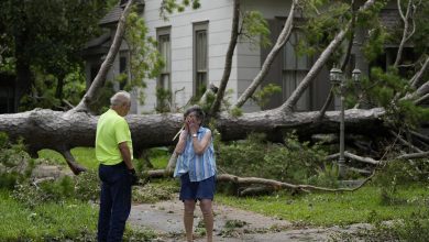 Photo of City opens tree limb disposal for residents due to recent storm