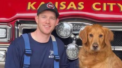 Photo of Woman charged with murder in stabbing of a paramedic during ambulance ride to a hospital