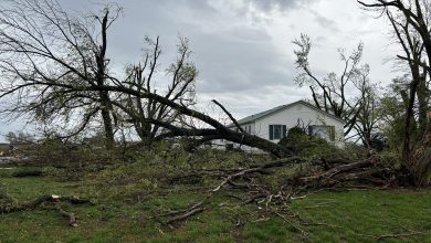 Photo of Southwest Missouri tornado now being categorized as an EF-1