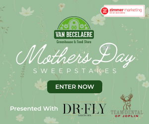 Vbg mothers day sweepstakes 300x250