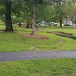 503309332 1562498685072866 8706650691458693405 n