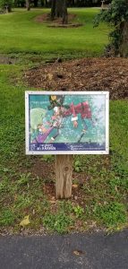 504344719 1562486401740761 619680021912201007 n