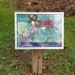 504344719 1562486401740761 619680021912201007 n