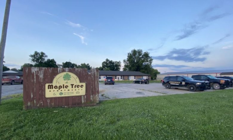 Maple tree apartments
