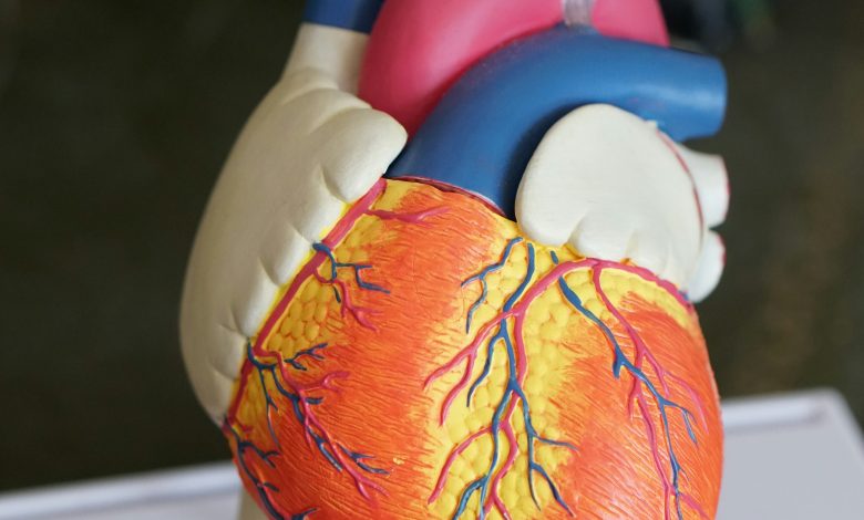 Robina weermeijer niuglcc7q54 unsplash (1)