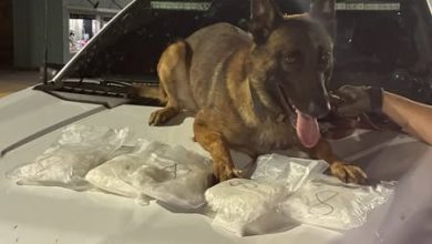 Photo of Drug Bust Chetopa Kansas