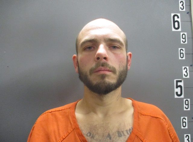 Ritztyler book in photo