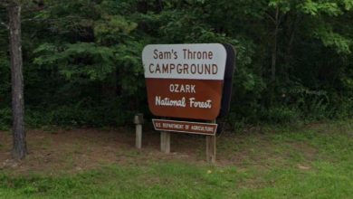 Photo of Authorities shoot and kill black bear believed to have fatally mauled Springfield man in Arkansas