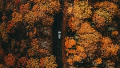 Photo of Missouri’s tourism officials see new fall trend