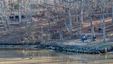 Photo of Lake of the Ozarks State Park’s conceptual development plan survey now online