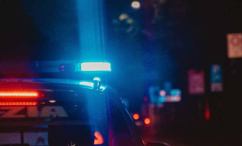 Andrea ferrario TlI4IcQTxmI unsplash