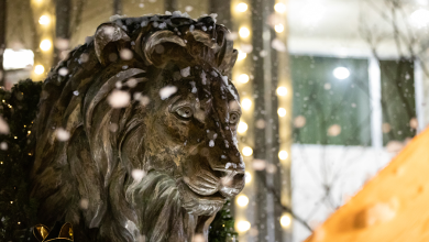 Photo of MSSU invites the community to campus for holiday happenings